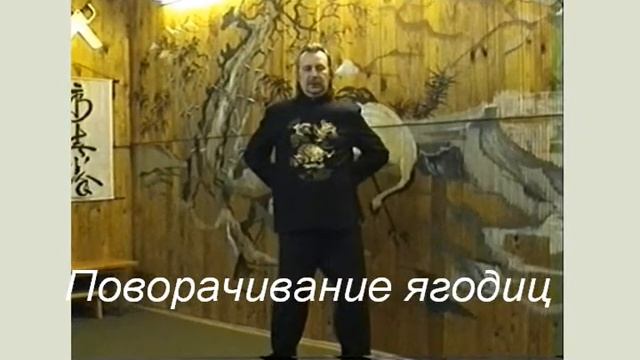 Strengthening The Immune System.qigong Soaring Crane