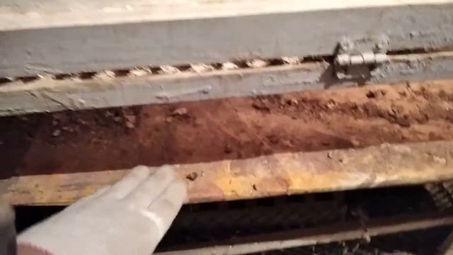 Обзор трёхэтажного Брудера и его дезинфекция . смотреть онлайн