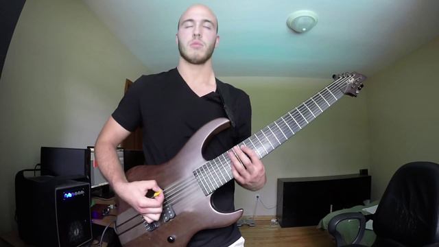 Meshuggah - In Death - Is Life, In Death - Is Death Medley | Guitar Cover by Tyler Nassiri смотреть онлайн