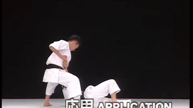 Seienchin _ Karate Kata & Bunkai