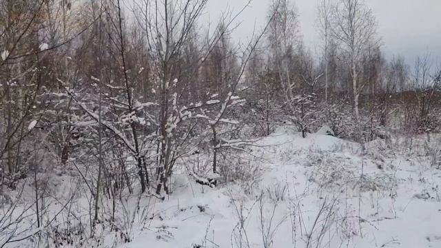 1 ноября 2023 г. Кое что про снег во время прогулки на берегу каменного карьера. смотреть онлайн