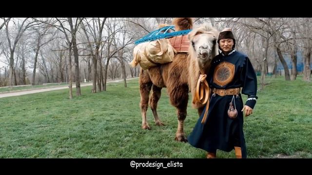 Калмыкия смотреть онлайн