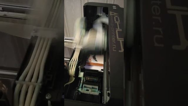 Обзор принтера ЮНИК-4 для печати на пряниках. Полгода использования. смотреть онлайн