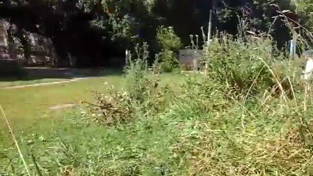 делаем трюки 2 часть смотреть онлайн