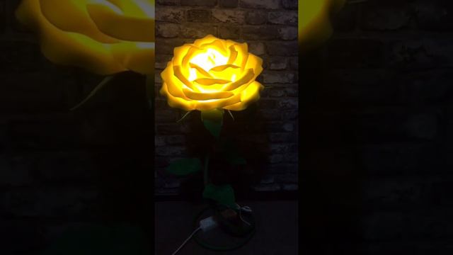 Роза жёлтая,из Изолон смотреть онлайн
