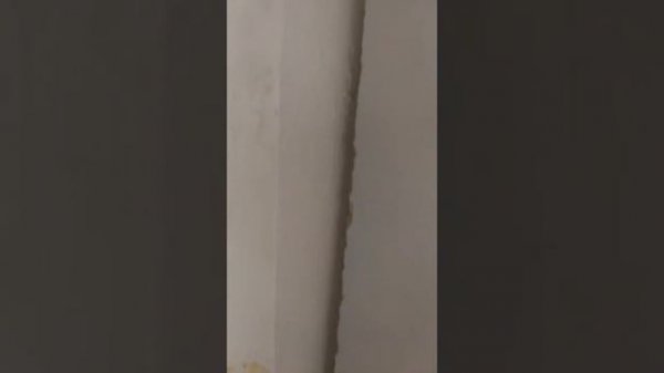 Отзыв о кухне Wow Kitchen, Kitchen Room, Кухонный завод