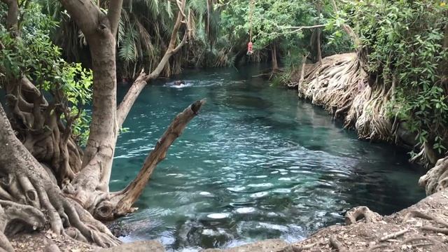 Mt. Kilimanjaro & Safari Through Tanzania: Serengeti National Park смотреть онлайн