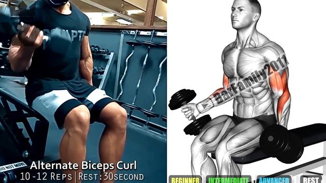 Dumbbells Biceps Exercises At Home - Best 7 Exercise at Home смотреть онлайн