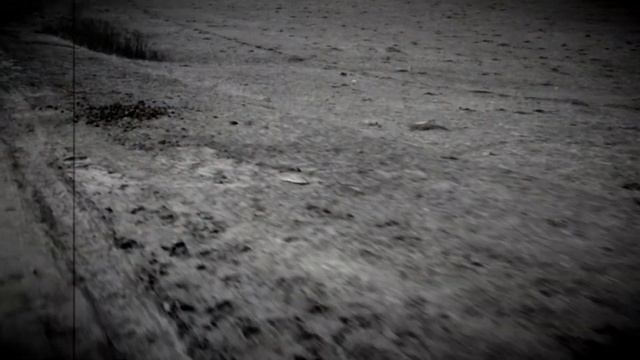 «Outdoor на Алтае»: Перевал Чике-Таман