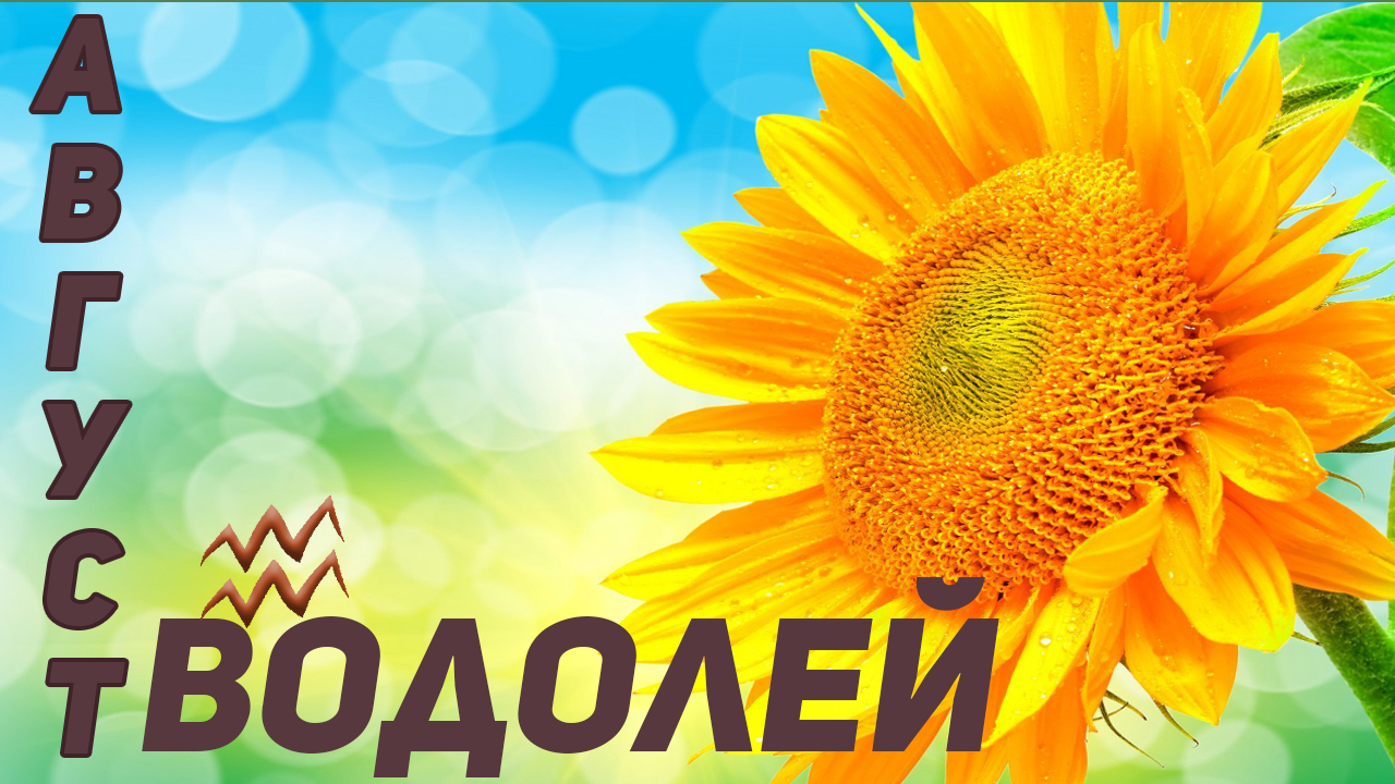 ? ВОДОЛЕЙ – ТАРО ПРОГНОЗ на АВГУСТ 2022 года ?