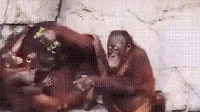 i (8).mp4 смотреть онлайн