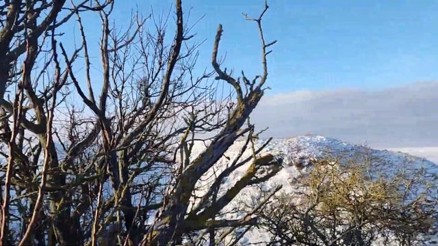 Прогулка зимой вдоль балки смотреть онлайн