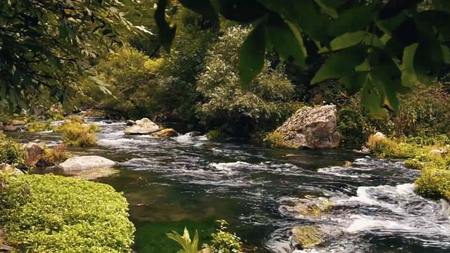 Dashbashi Canyon Georgia смотреть онлайн