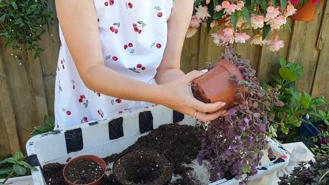 Обзор и обновление каллизий