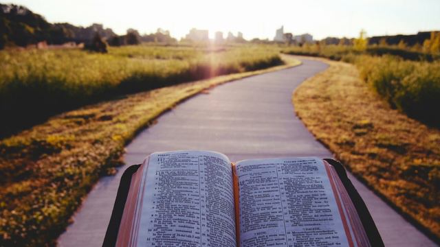 Psalm Bites #69 | Psalm 33:20-22, NKJV смотреть онлайн