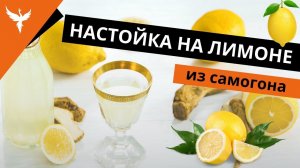 рДЖ 35: Настойка на лимоне  из самогона. Сколько лимонов? Как уменьшить горечь? Как настаивать?