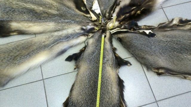 Шкуры барсука выделанные смотреть онлайн