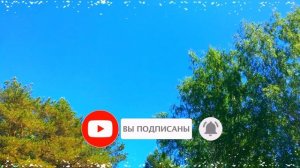 6 июня народный праздник Симеонов День. Что МОЖНО и что НЕЛЬЗЯ делать. Традиции и приметы