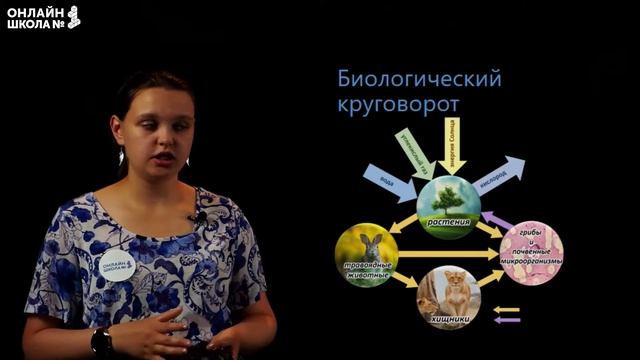 Природный комплекс. Видеоурок 31. География 6 класс смотреть онлайн