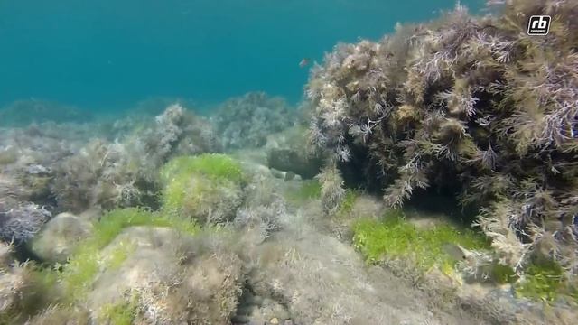 Собираемся на МОРСКУЮ РЫБАЛКУ с компанией RB. смотреть онлайн