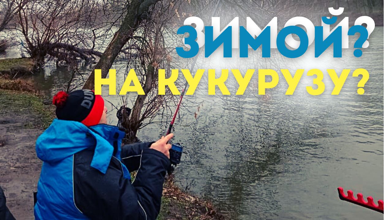 ЛОВЛЯ ФИДЕРОМ ЗИМОЙ. ТЕПЛЫЙ КАНАЛ. ОТЛИЧНАЯ КОМПАНИЯ. РЫБА ЕСТ КАК ЛЕТОМ. ЗАКРЫТИЕ ГОДА! смотреть онлайн