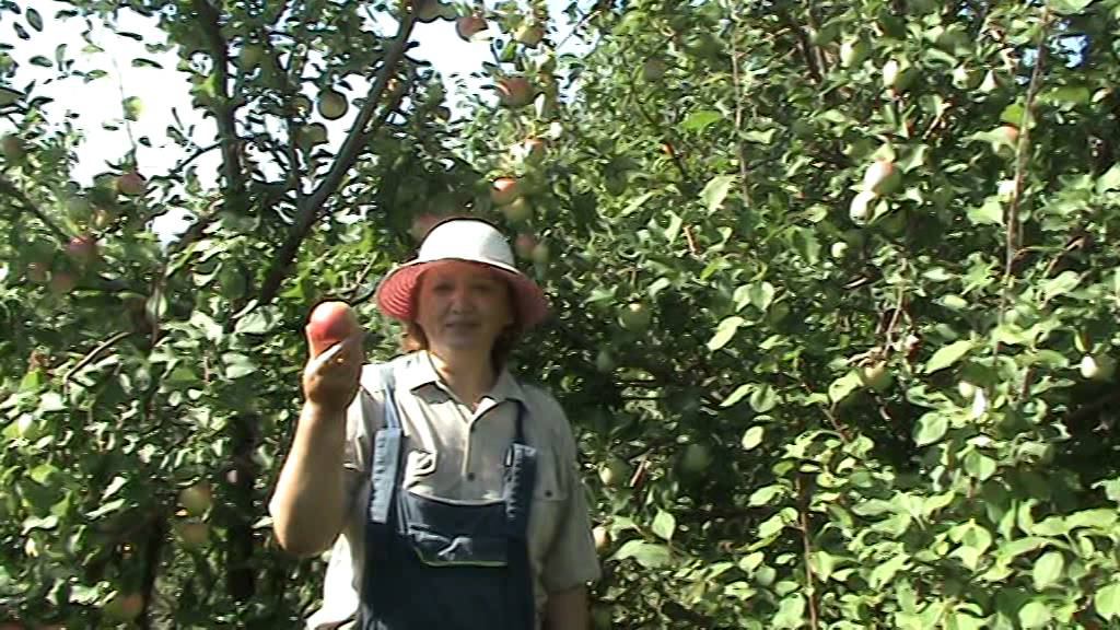 Осенняя радость смотреть онлайн
