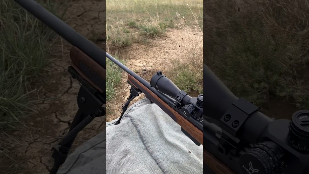 Охота на сурка, отчет первый день охоты #охота #охотаназайца #охотанагуся смотреть онлайн