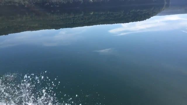 Tohatsu 5hp + kolibri km-280 смотреть онлайн