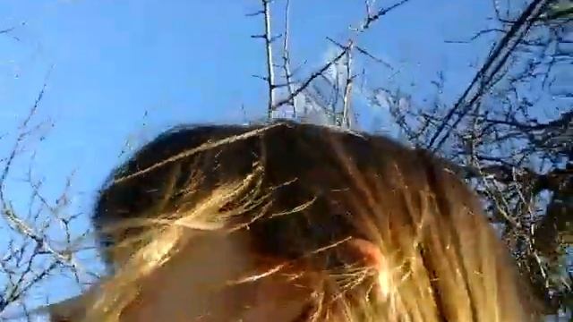 Отряд-Утят!) смотреть онлайн