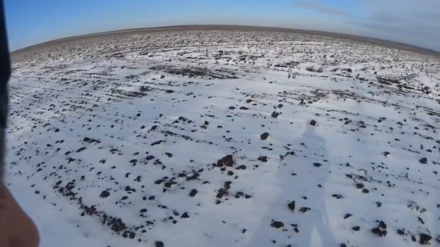 Охота на зайцев - В момент отчаяния.... смотреть онлайн