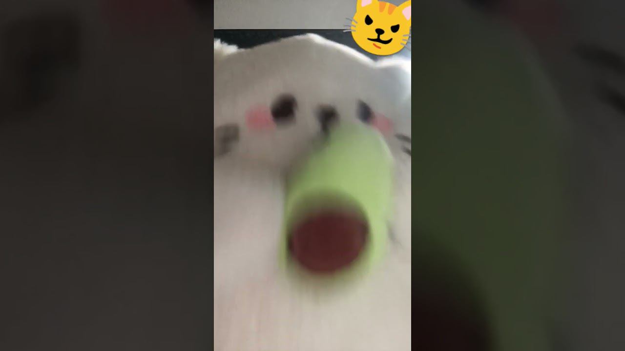 -зомби кот смотреть онлайн