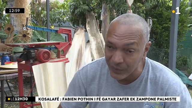 Kosalafé ! Fabien Pothin i travay zampone palmiste ! смотреть онлайн