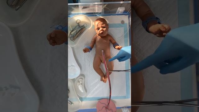 Первичная обработка новорожденного смотреть онлайн