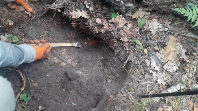 ЧАША С ЗОЛОТОМ В МОКРОМ ГРУНТЕ! НЕВЕРОЯТНО ДОРОГАЯ НАХОДКА! смотреть онлайн