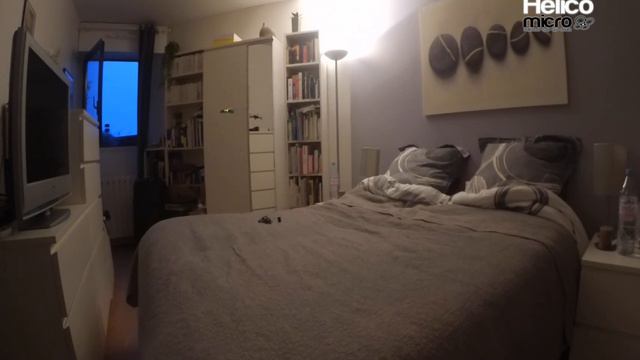 Parrot Mambo смотреть онлайн