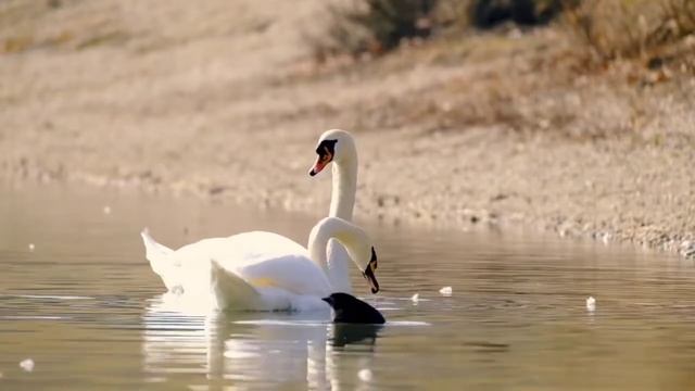 Когда тебе уже давно за двадцать... смотреть онлайн