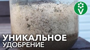 ЛУЧШЕ ЭТОГО УДОБРЕНИЯ ЕЩЕ НИЧЕГО НЕ ПРИДУМАЛИ! Делаем монофосфат калия своими руками