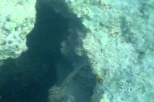 PIC 1084 DIVX 720p