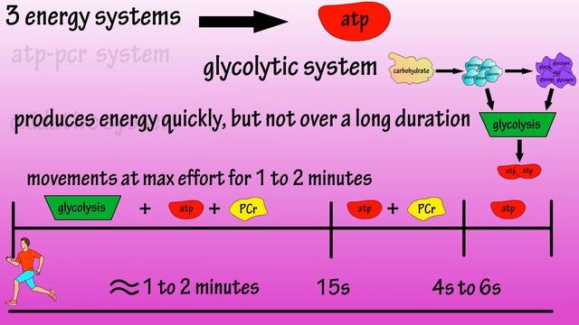 Energy Systems - ATP Energy In The Body - Adenosine Triphosphate - Glycolysis смотреть онлайн