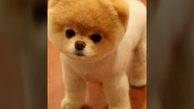 С 8 Марта Девчонки!♥♥♥ смотреть онлайн