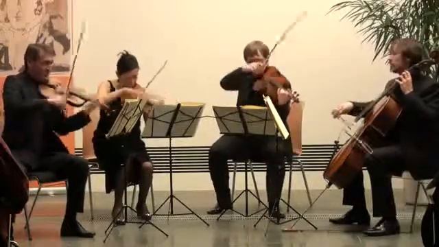 Schubert  String Quartet  Rosamundа 1 часть