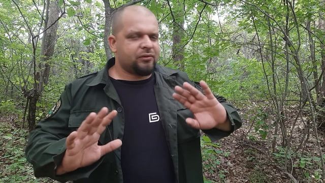 Пауки и жуки которых стоит боятся в лесу, а стоит ли? смотреть онлайн