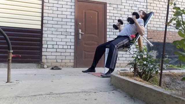 Подъем гантелей на бицепс сидя смотреть онлайн