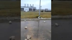 как помыть 50 метров клеенки