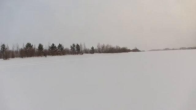 На снегоходе за куропатками! смотреть онлайн