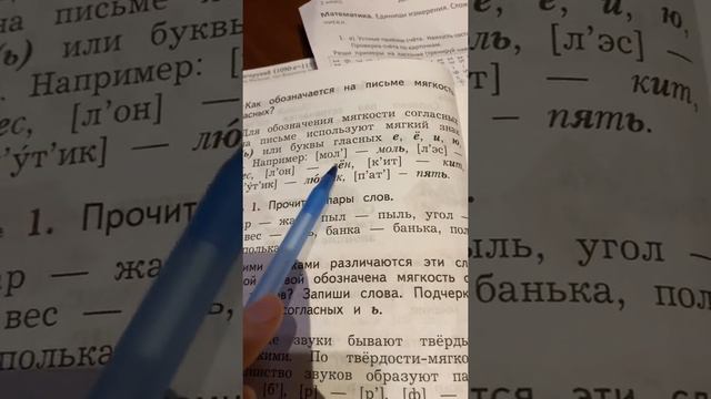Согласные твёрдые и мягкие, звонкие и глухие/Русский язык/2 класс/09.09.20 смотреть онлайн