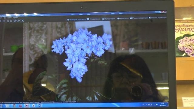 ДФ. В.Н.Калгин.Презентация сортов сенполий ЕК- (май2022г.) смотреть онлайн