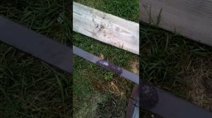 как быстро убрать краску с металла