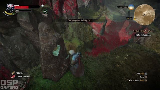 The Witcher 3 (PS4) playthrough pt162 - Portals, Weird Worlds and Cheap Deaths смотреть онлайн