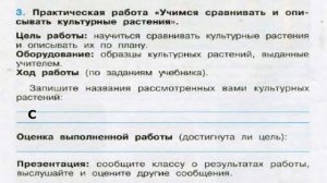 Окружающий мир. Рабочая тетрадь 3 класс 2 часть. ГДЗ стр. 32 №3